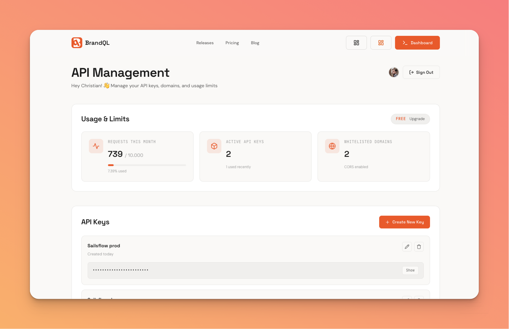 BrandQL management dashboard with API key settings and usage statistics